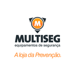 multiseg